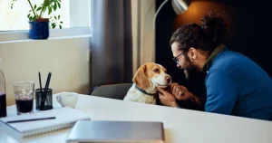Pet-friendly home design principles